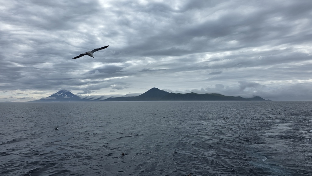 20260630_155659.jpg 20260630_155659.jpg