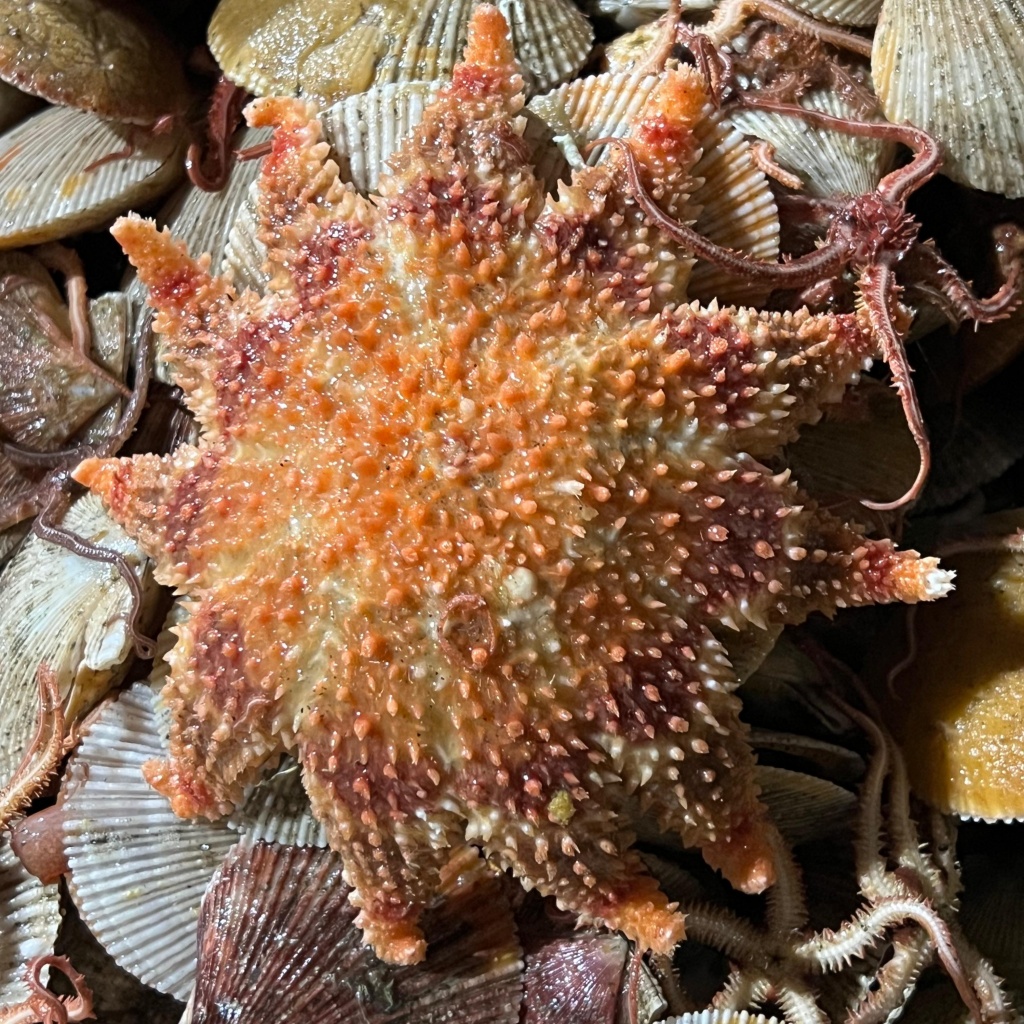 IMG-20250916-WA0007.jpg IMG-20250916-WA0007.jpg