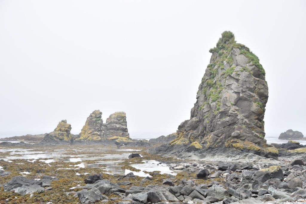 DSC_0210.JPG