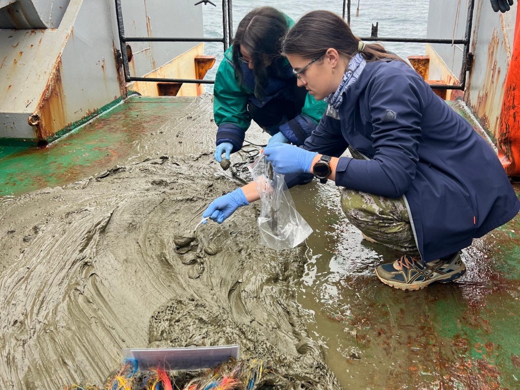 IMG-20250916-WA0006.jpg IMG-20250916-WA0006.jpg