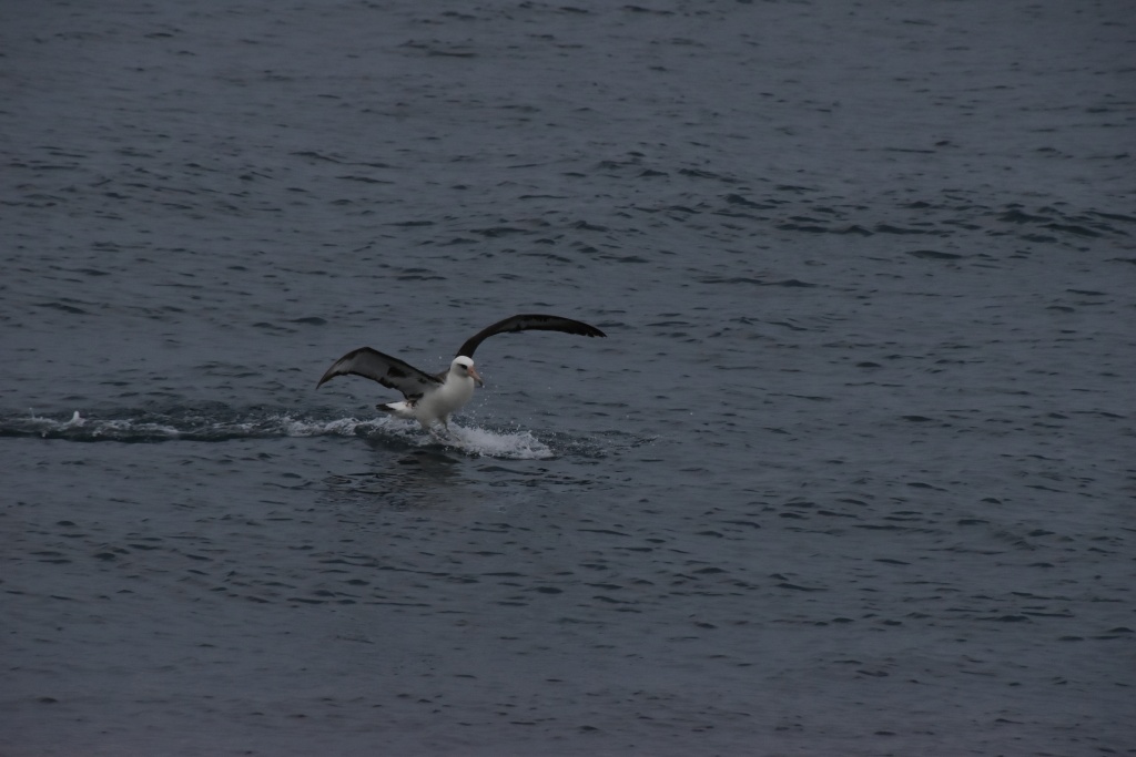 DSC_0281.JPG