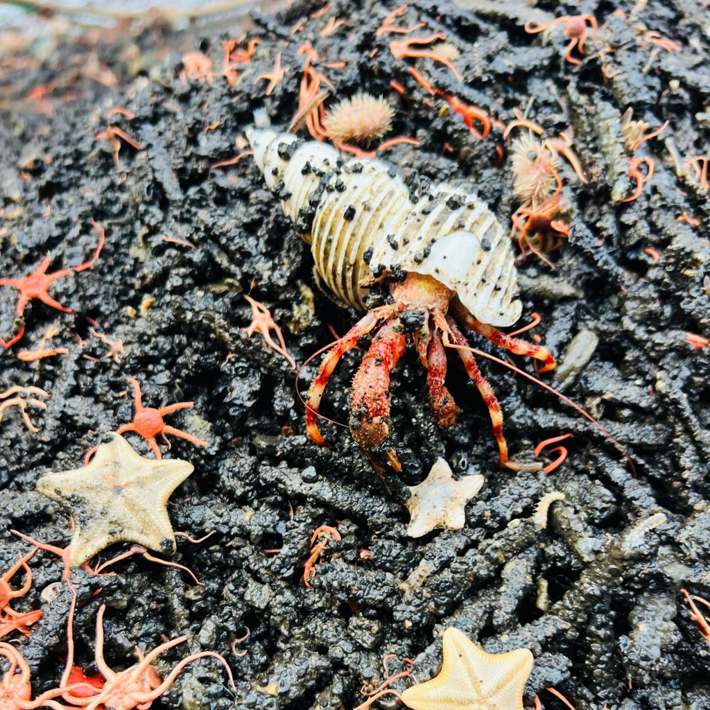 IMG-20250916-WA0008.jpg IMG-20250916-WA0008.jpg