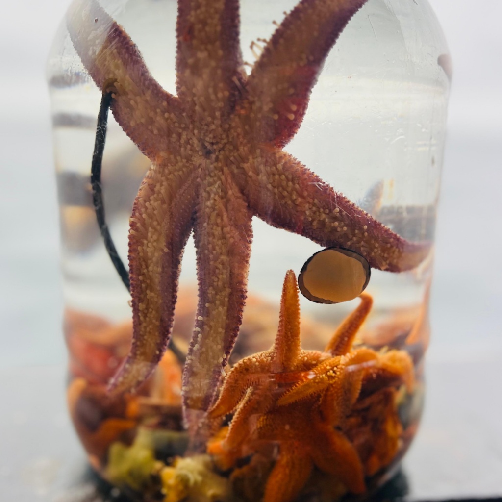 IMG-20250916-WA0004.jpg IMG-20250916-WA0004.jpg